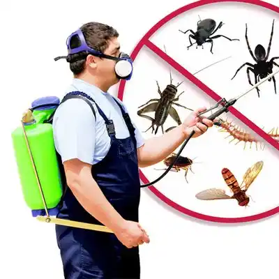 pest control Sun Prairie